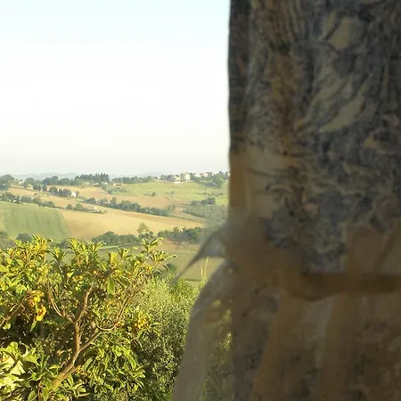 Il Vecchio Nespolo Panzió